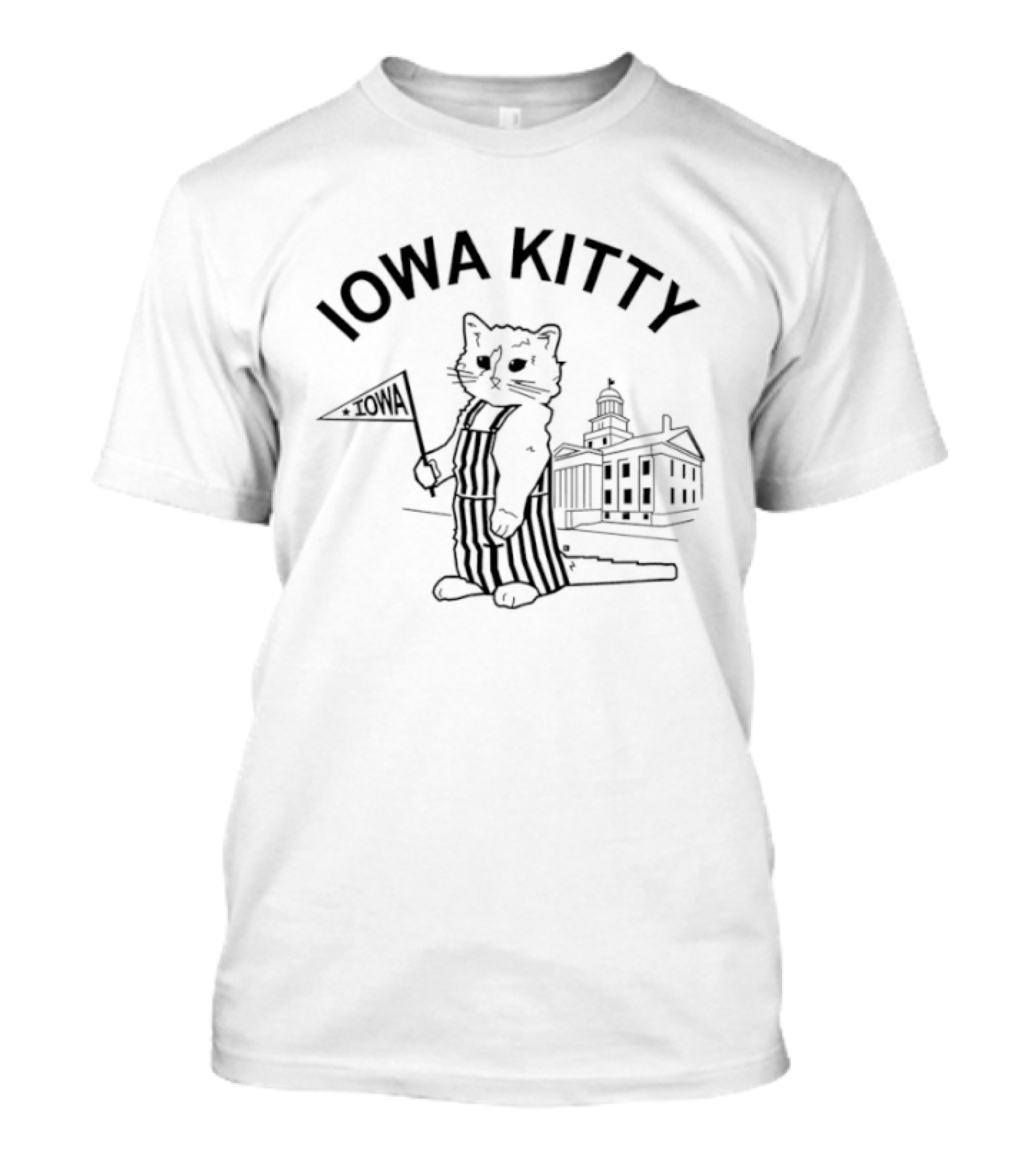 Iowa Kitty Cat Funny T-Shirt