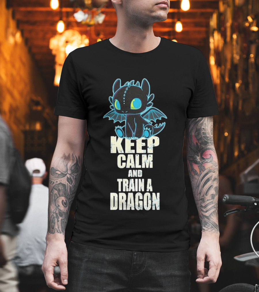 Keep Calm and Train a Dragon Toothless How to Train Your Dragon Cartoon T-Shirt