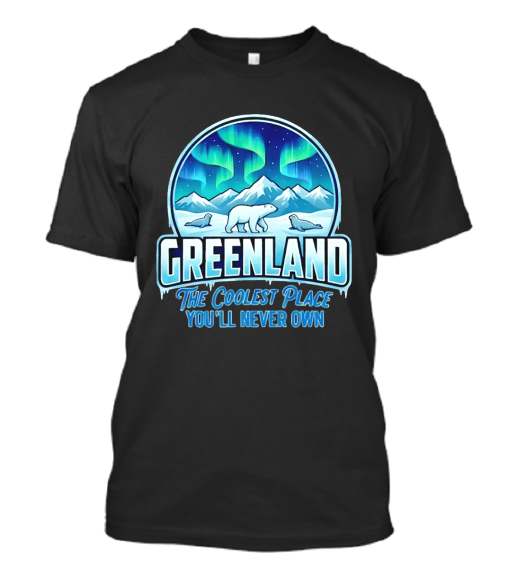 Greenland Northern Lights Polar Bear Arctic Adventure The Coolest Place You'll Never Own T-Shirt