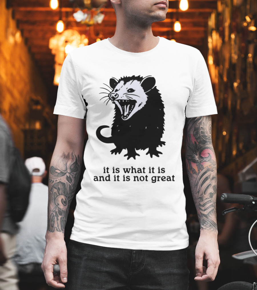 It Is What It Is and It Is Not Great Opossum T-Shirt