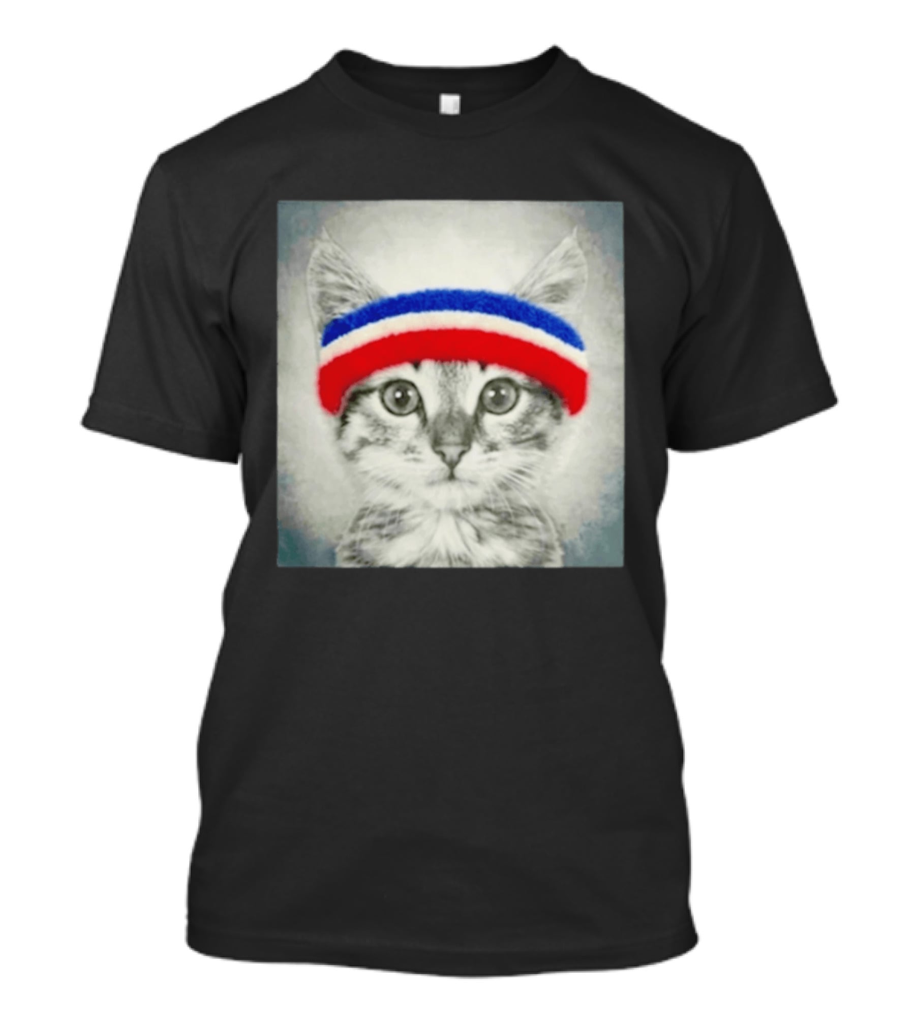 Gaten Matarazzo Pizza Movie Cat With Red Blue Headband T-Shirt