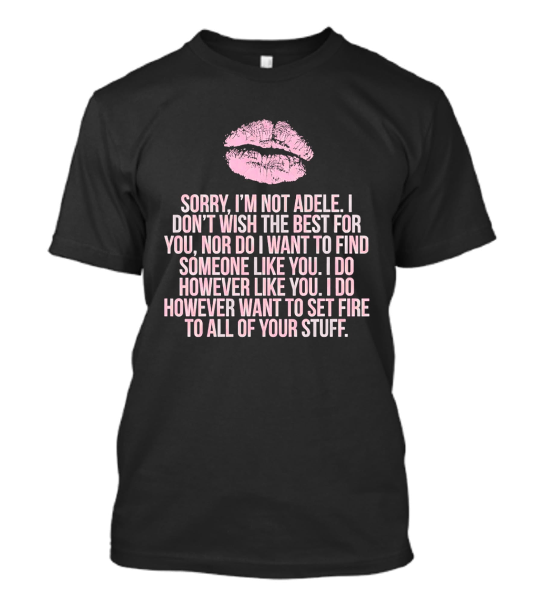 Sorry I'm Not Adele I Don't Wish The Best For You I Want To Set Fire To All Of Your Stuff T-Shirt