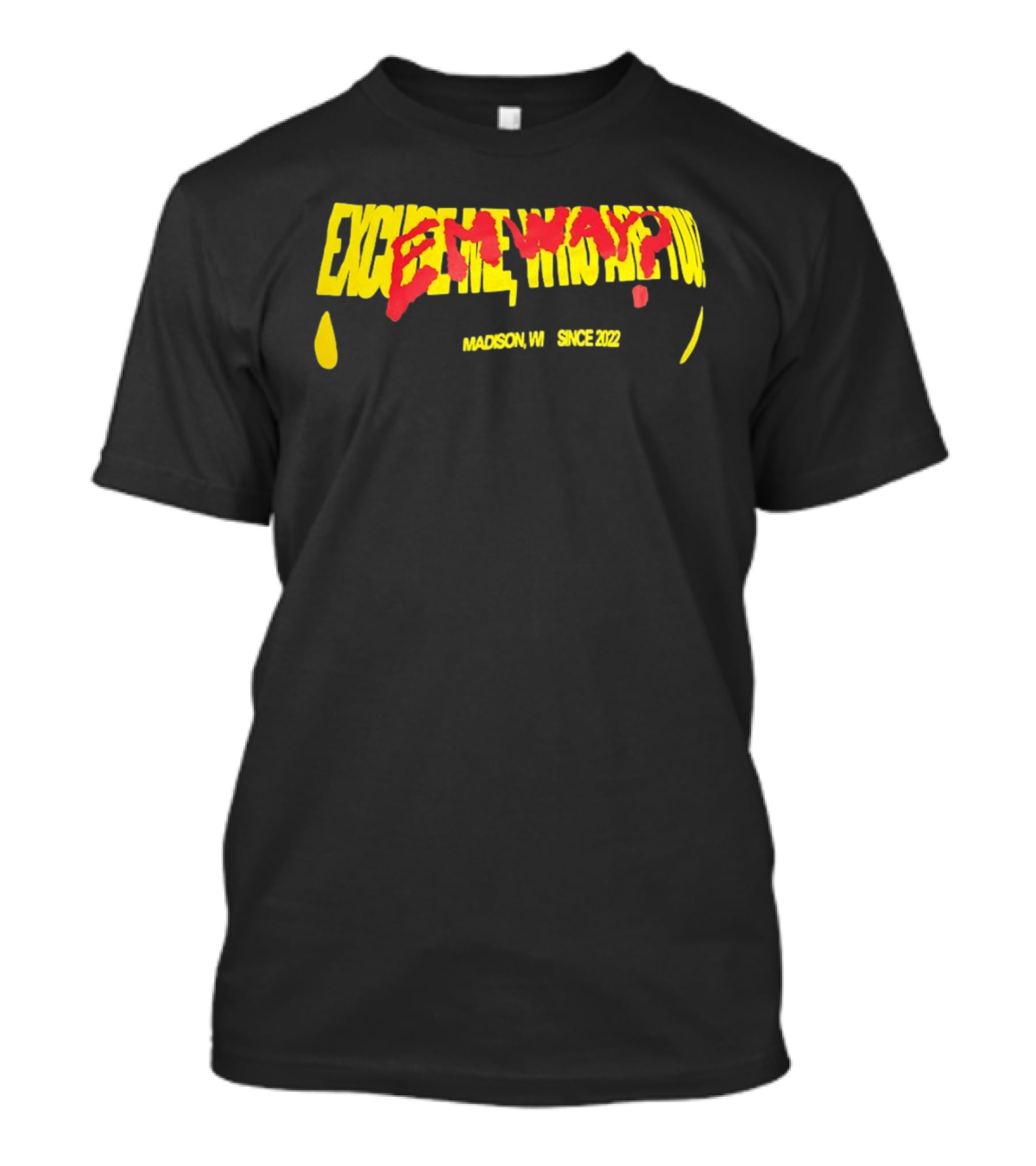 Excuse Me Who Are You Emway Madison WI Since 2022 T-Shirt
