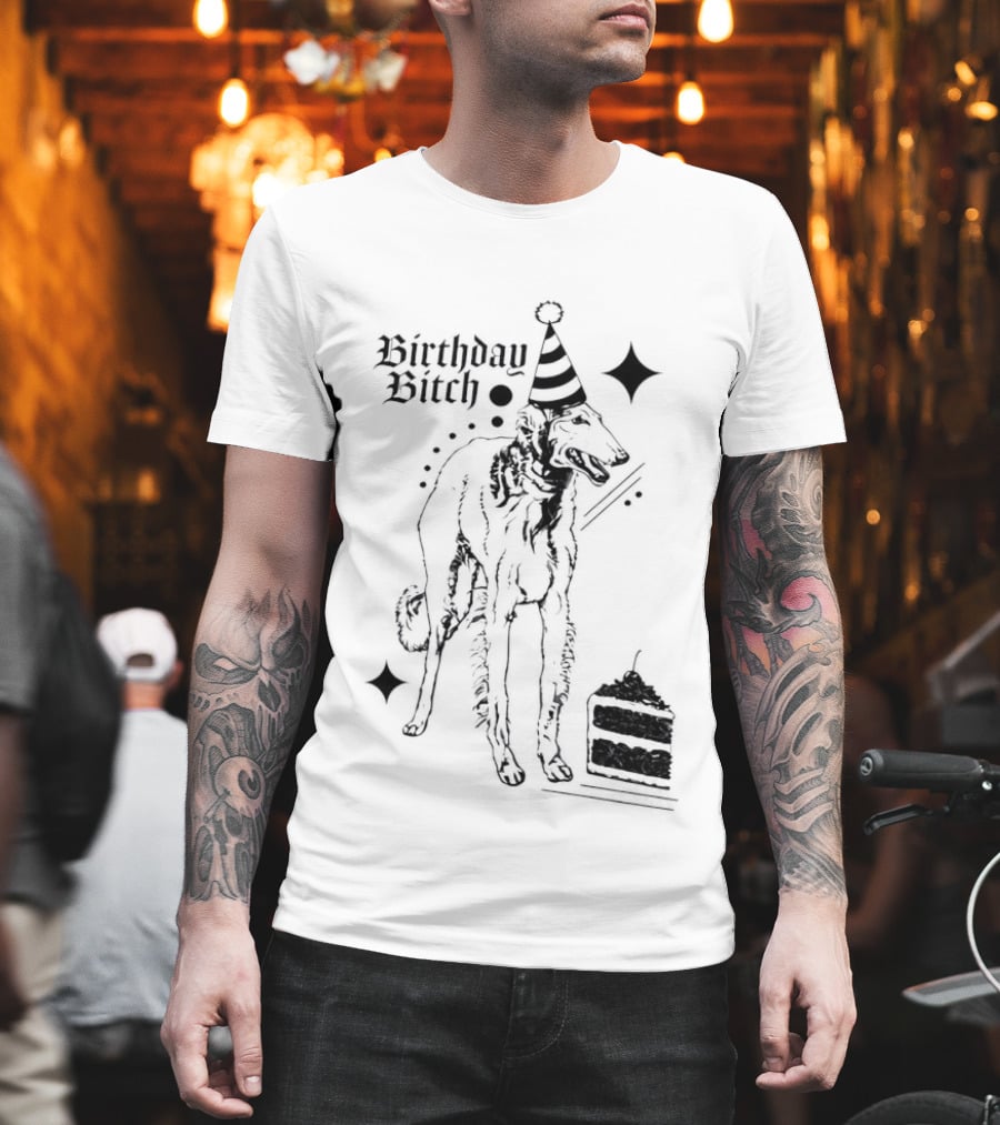 Birthday Bitch Dog Party Hat Cake Celebration Fun T-Shirt