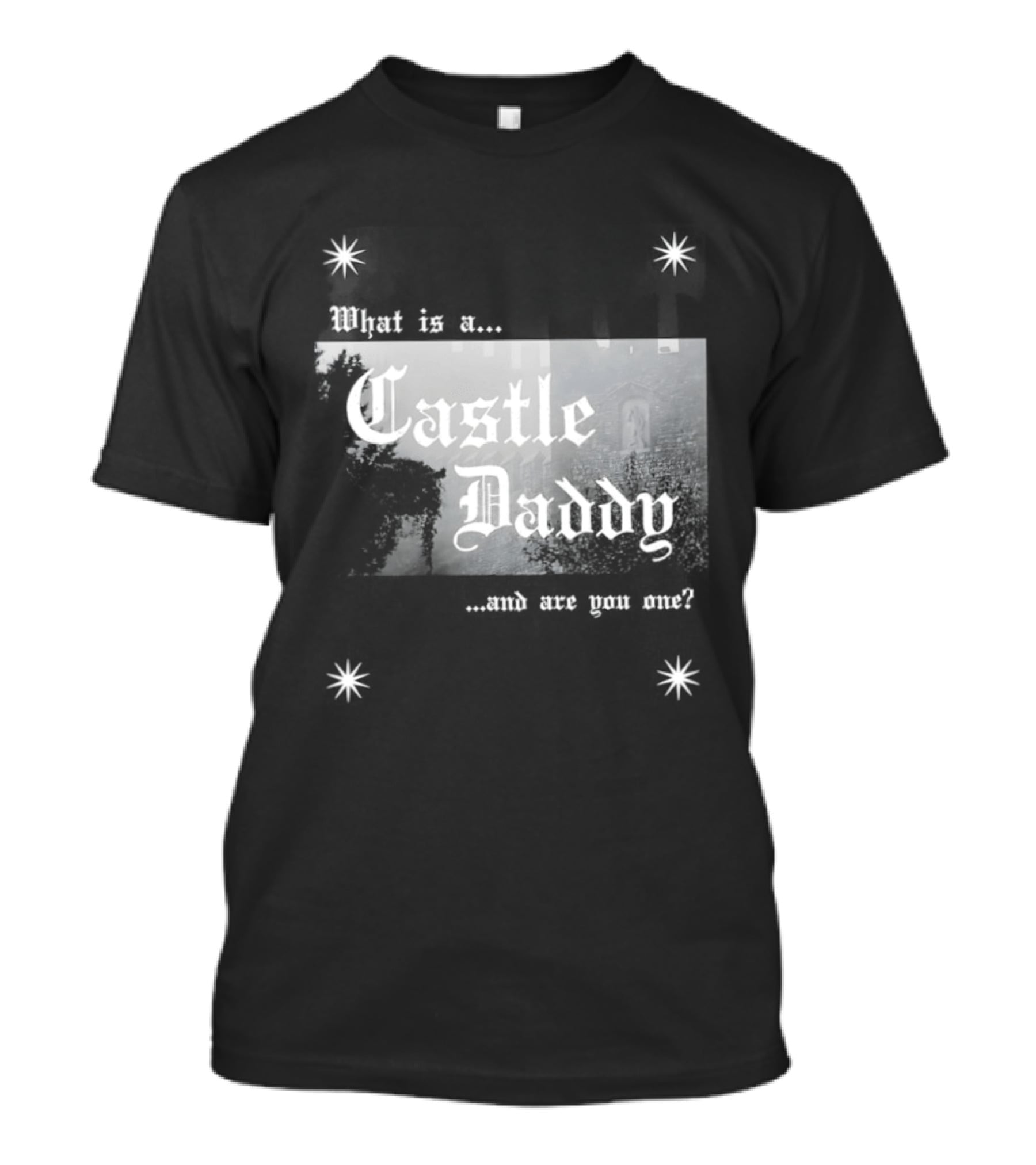 Castle Daddy Inquiry Are You One Of Them? T-Shirt