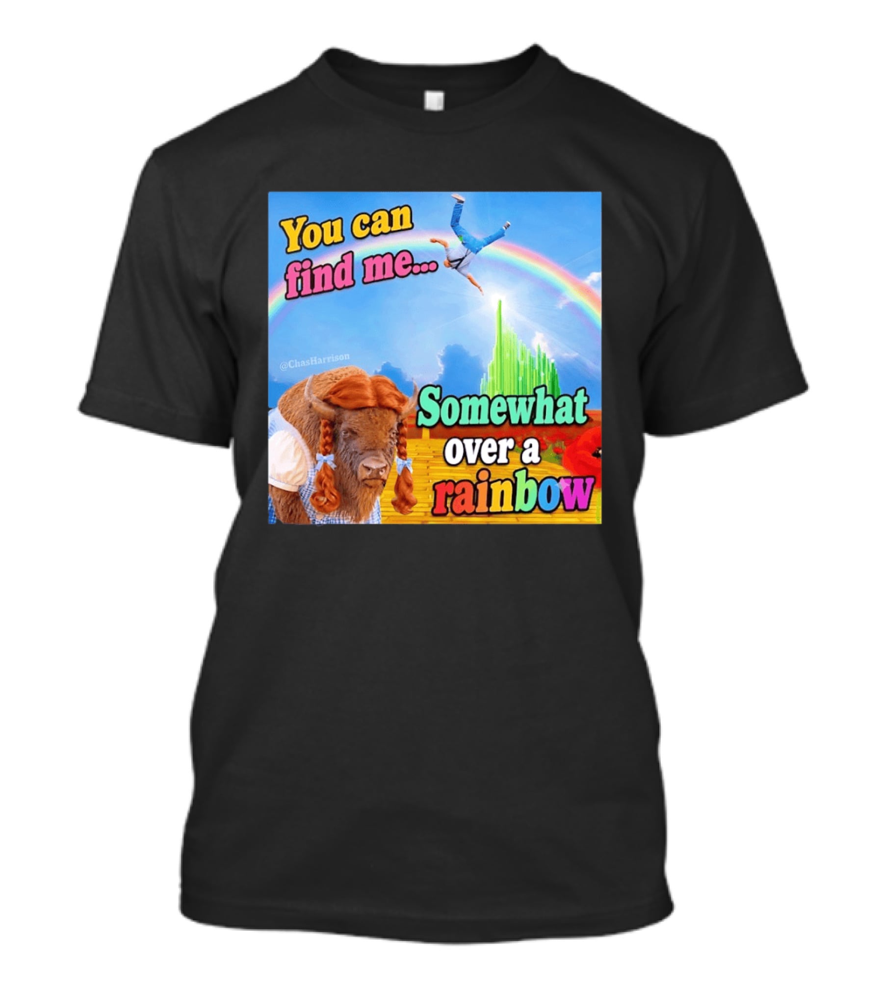 You Can Find Me Somewhat Over A Rainbow Bison Meme T-Shirt