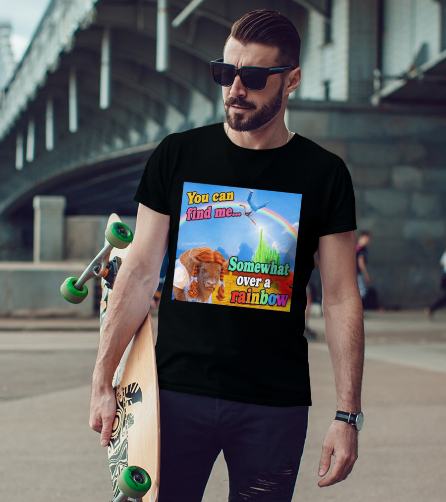 You Can Find Me Somewhat Over A Rainbow Bison Meme T-Shirt