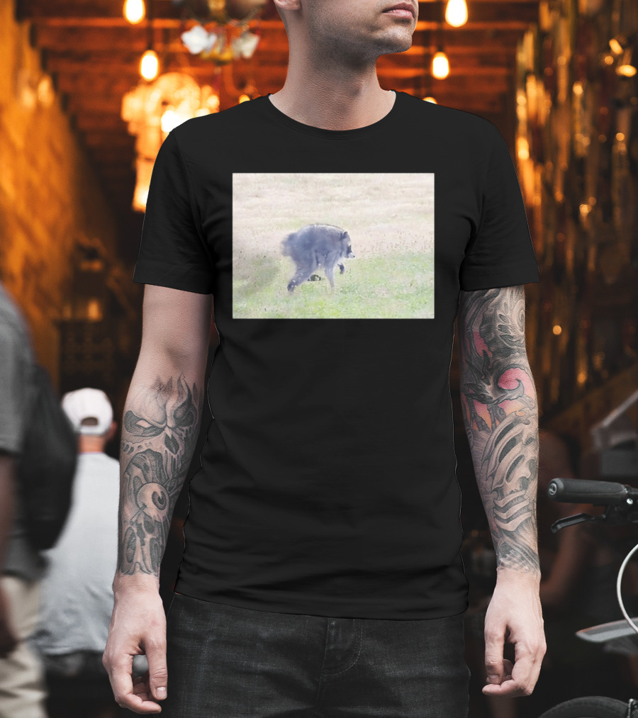 Jimothy Raccoon Walking In Grassy Field Wildlife Scene T-Shirt
