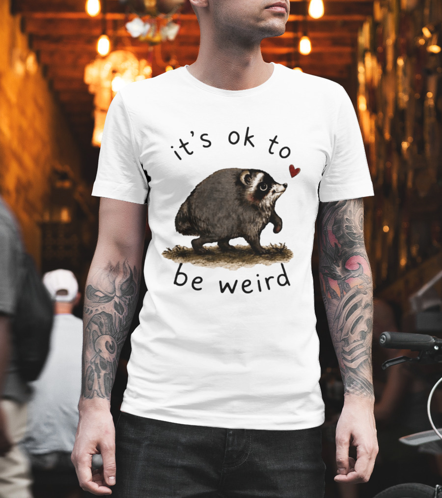 Raccoon It's Ok To Be Weird Cute Heart T-Shirt