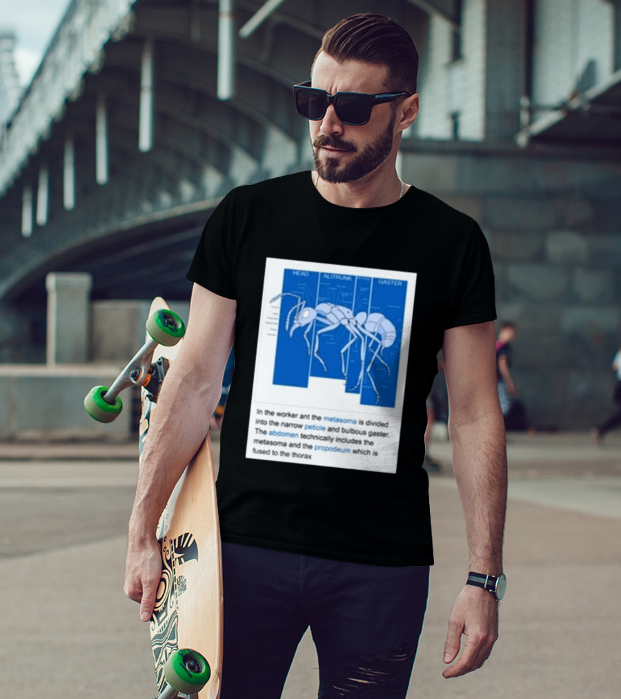 Head Alitrunk Gaster Metasoma Petiole Anatomy Of An Ant T-Shirt
