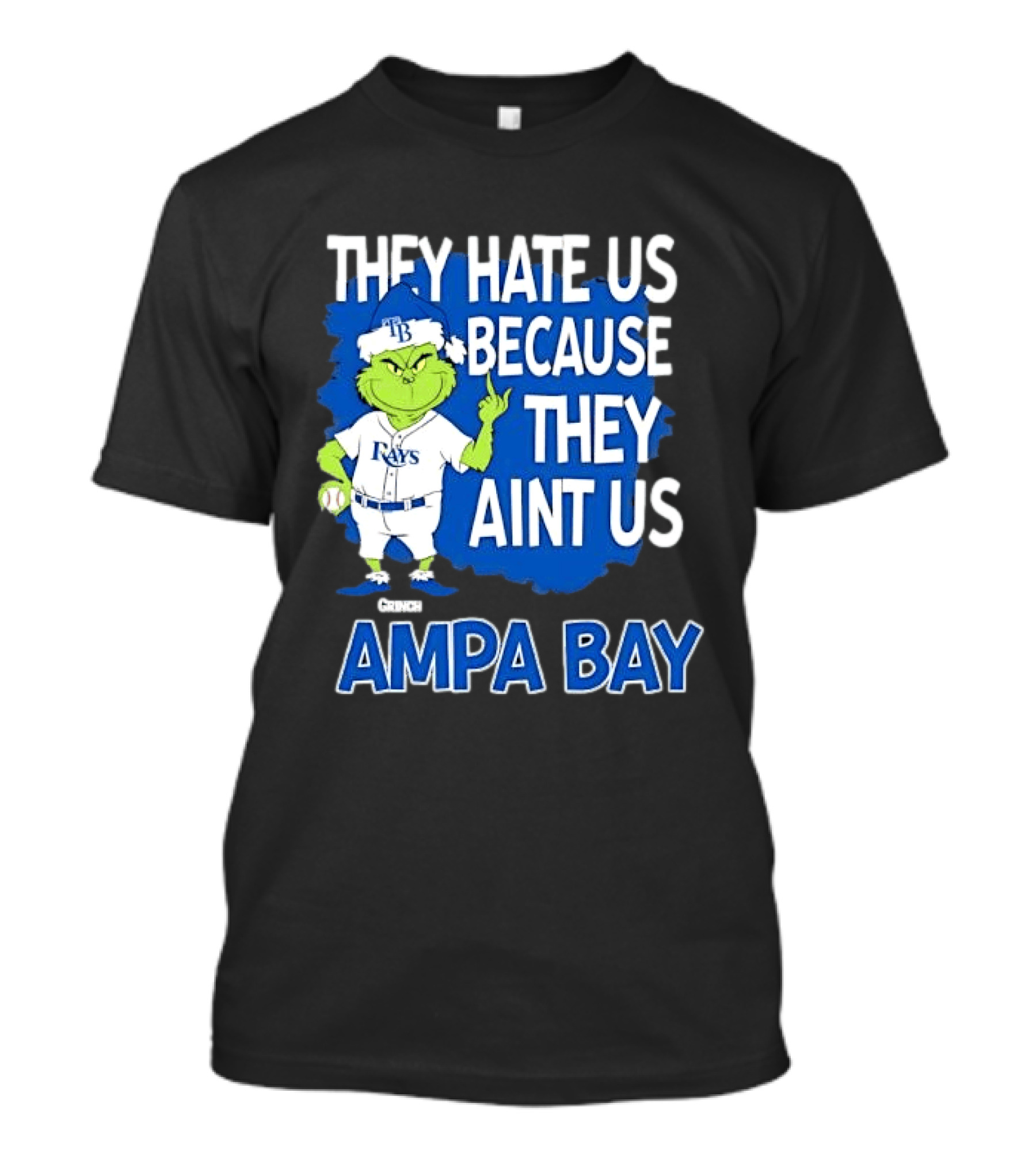 Tampa Bay Rays Grinch Christmas They Hate Us Because They Aint Us T-Shirt