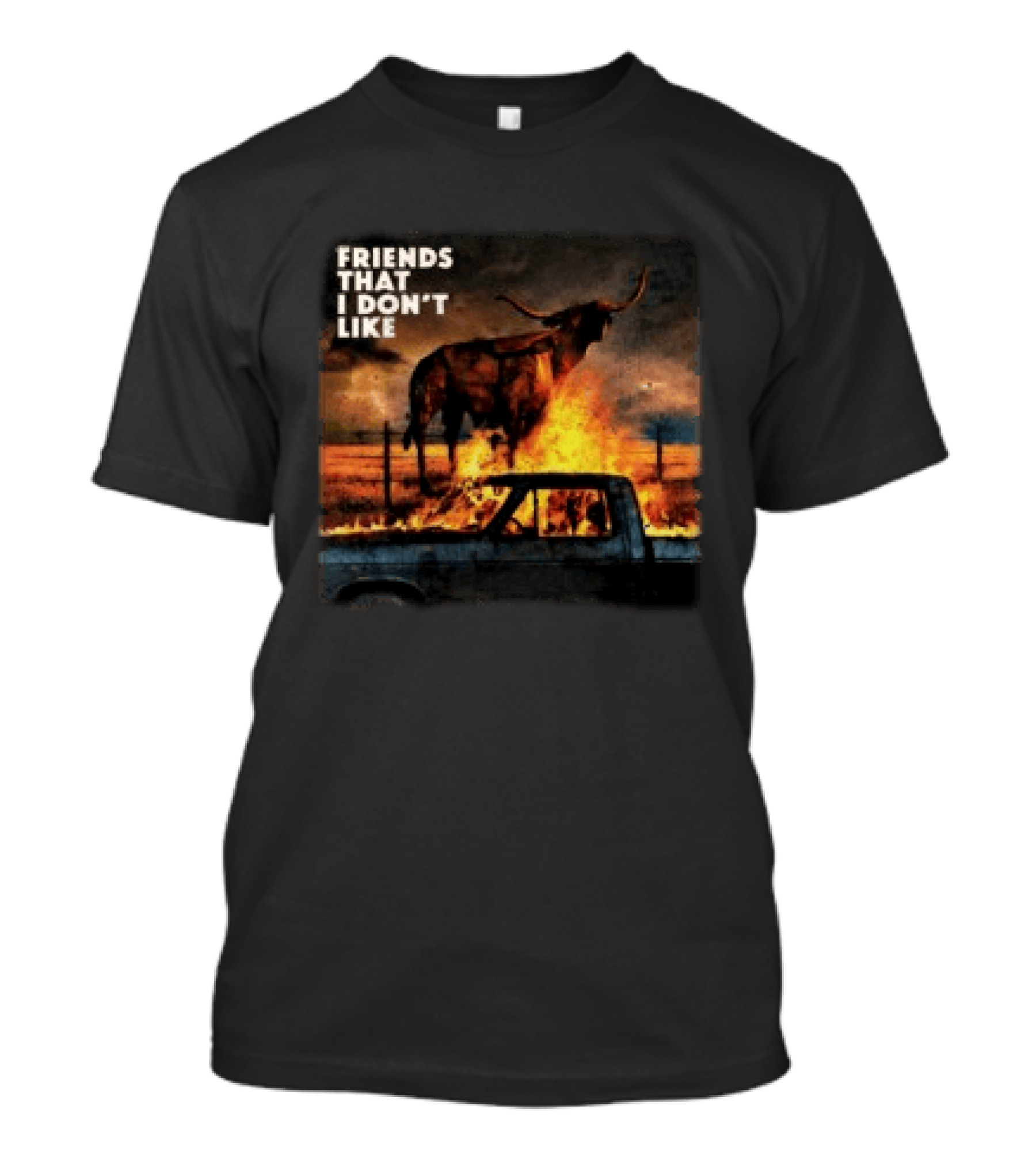 FRIENDS THAT I DON'T LIKE Dexter And The Moonrocks Store Fire Album T-Shirt
