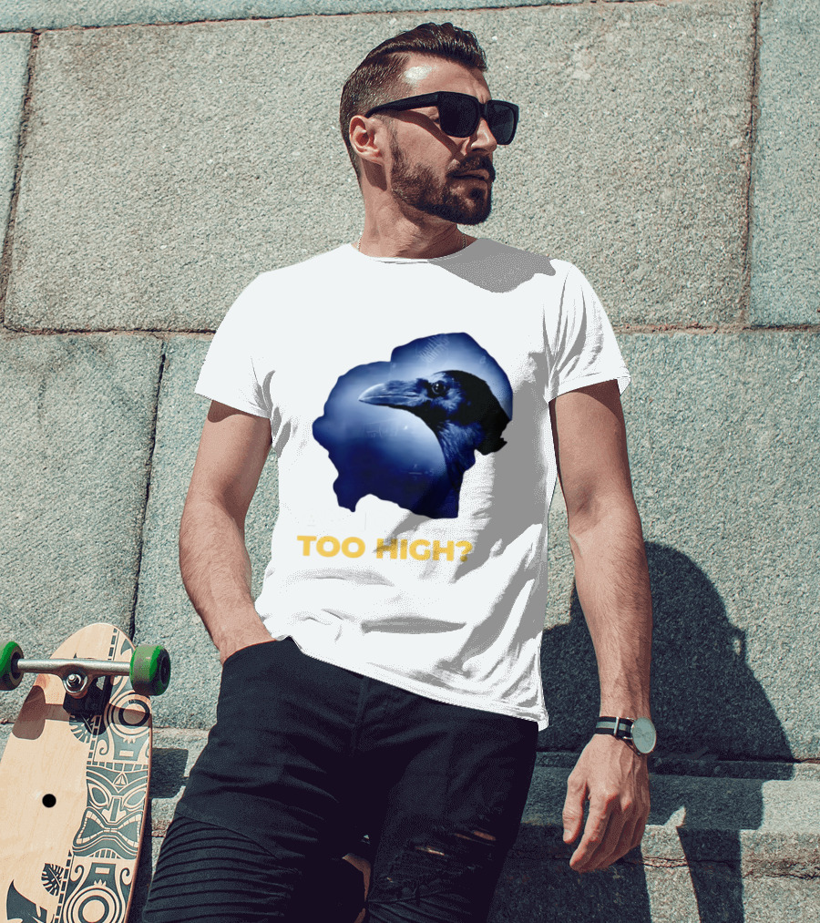 An IQ Too High Raven Sarcasm Meme T-Shirt