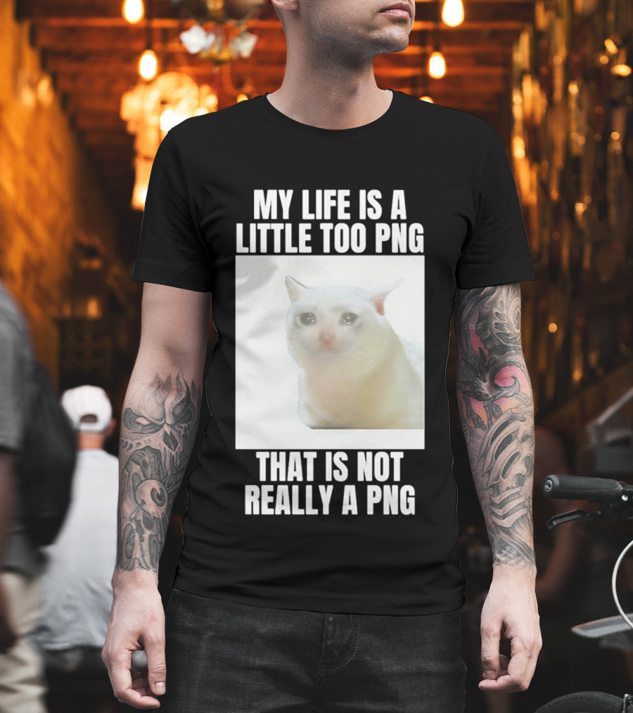 My Life Is A Little Too PNG That Is Not Really A PNG Cat Meme T-Shirt