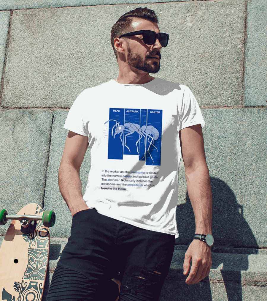 Worker Ant Diagram Head Alitrunk Gaster Metasoma Petiole Biology T-Shirt