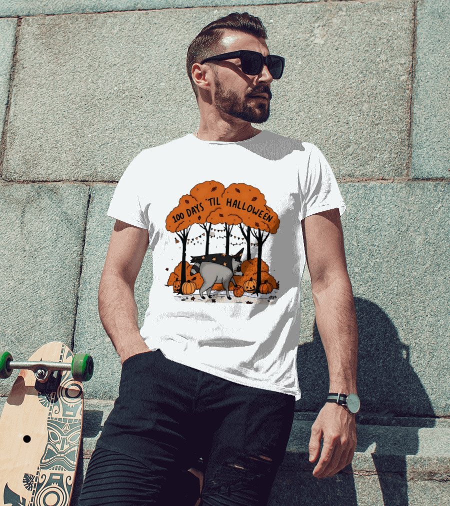 100 Days 'til Halloween Raccoon Wizard Costume In Pumpkin Patch Forest T-Shirt