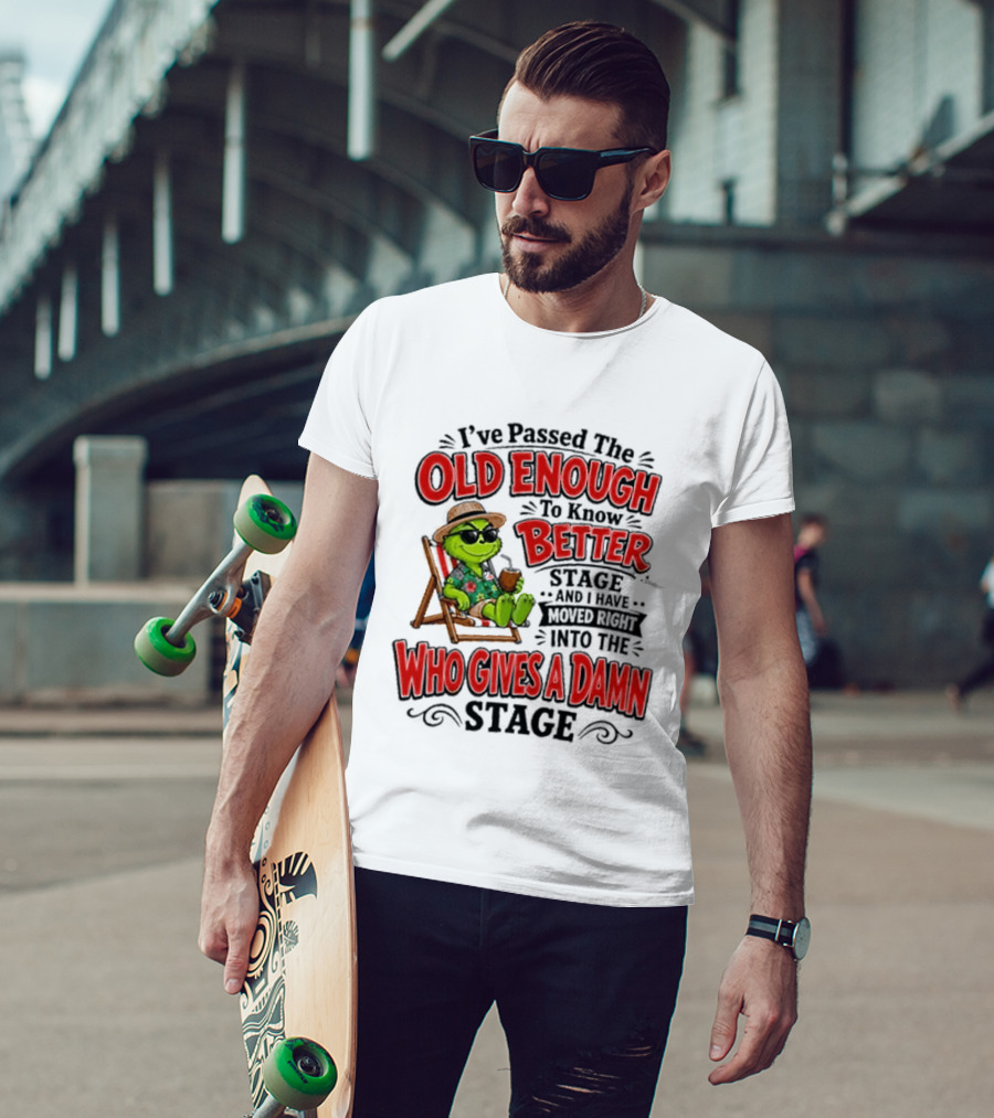 I've Passed Into The Grinch Old Enough To Know Better Who Gives A Damn Stage T-Shirt