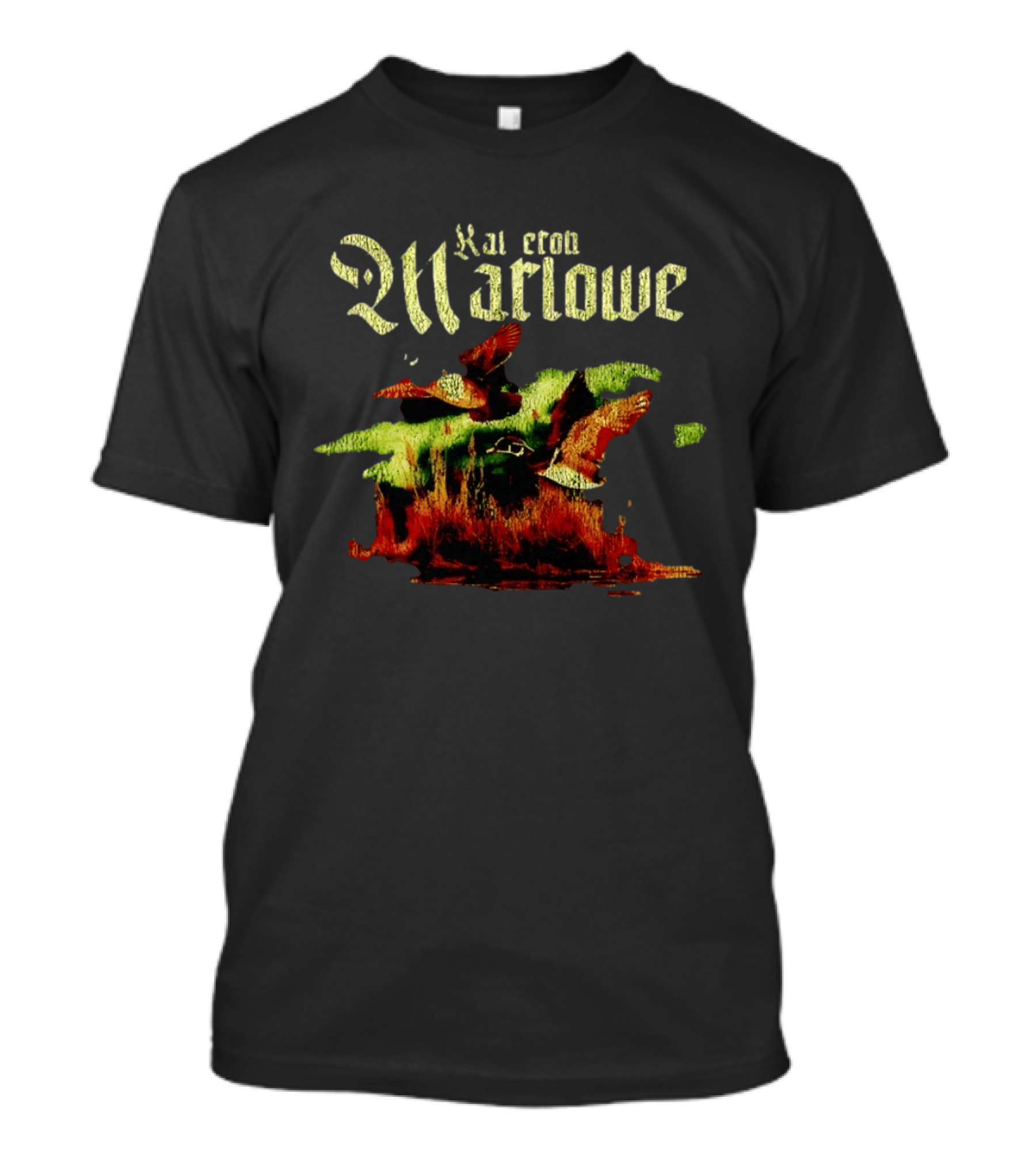 Kameron Marlowe Distressed Ducks Country Music T-Shirt