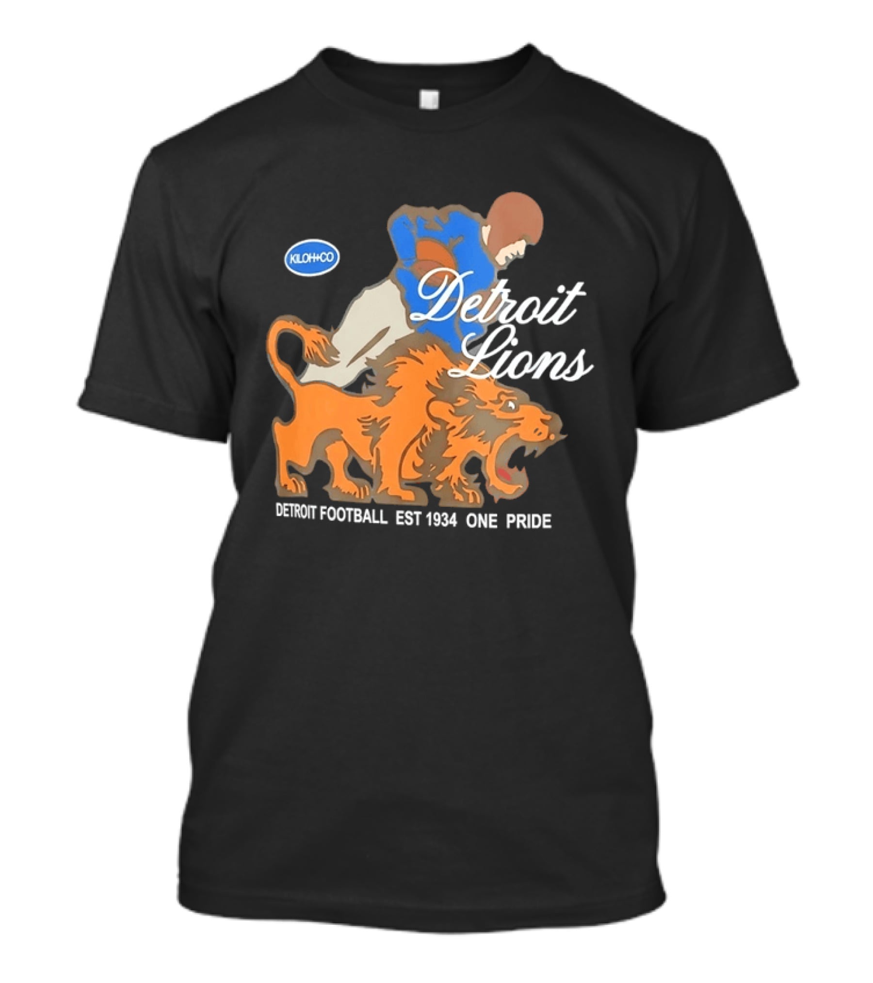 Detroit Lions Football EST 1934 One Pride Vintage Style Kloh Co T-Shirt