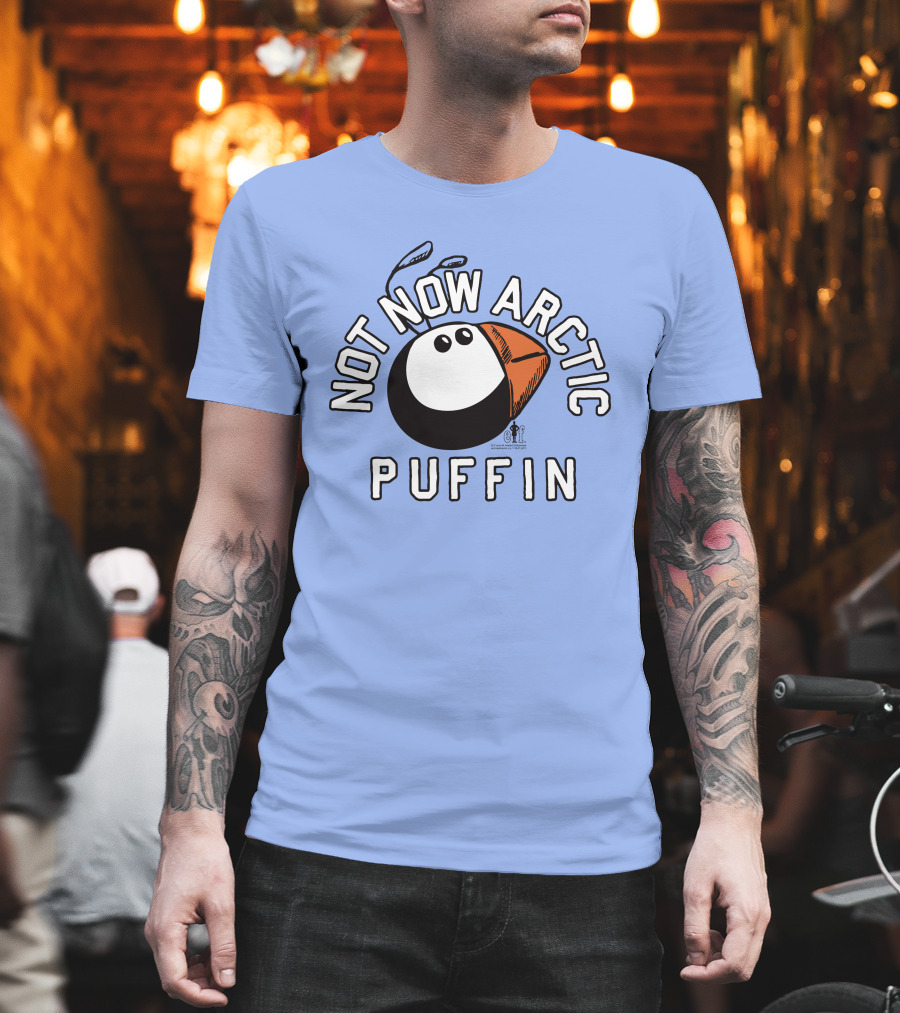 Not Now Arctic Puffin Mood Just Mike T-Shirt
