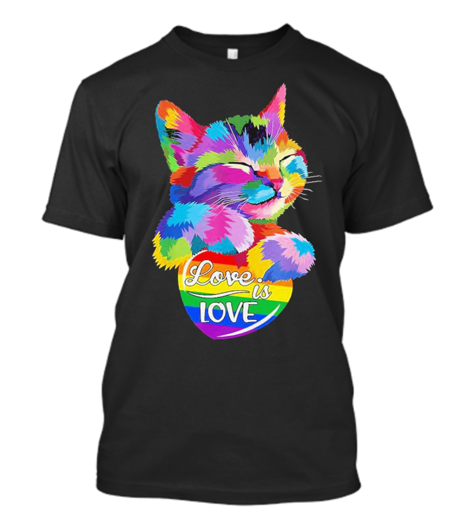 Love Is Love Colorful Cat Rainbow Pride T-Shirt