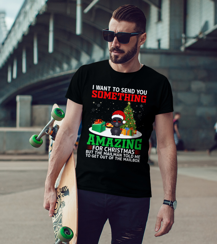 I Want To Send You Something Amazing For Christmas But The Mailman Told Me To Get Out Of The Mailbox T-Shirt
