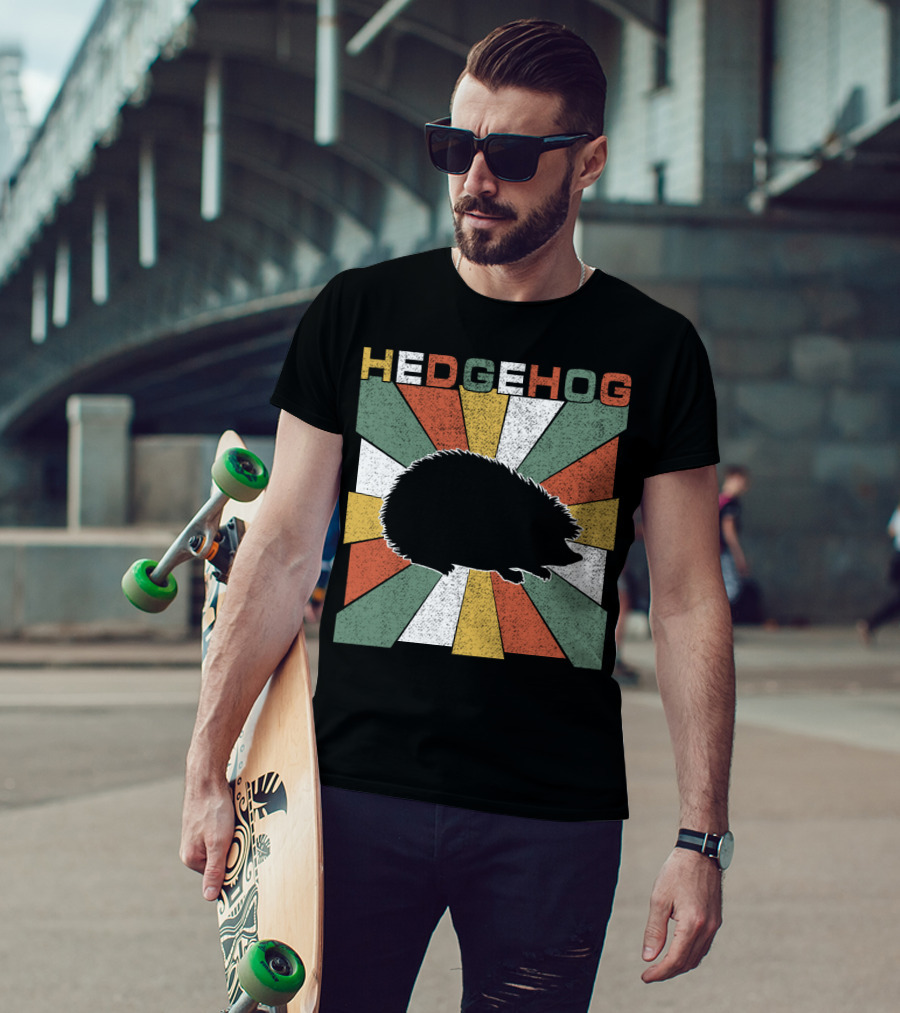 Hedgehog Retro 70s Silhouette Vintage Stripe Burst T-Shirt