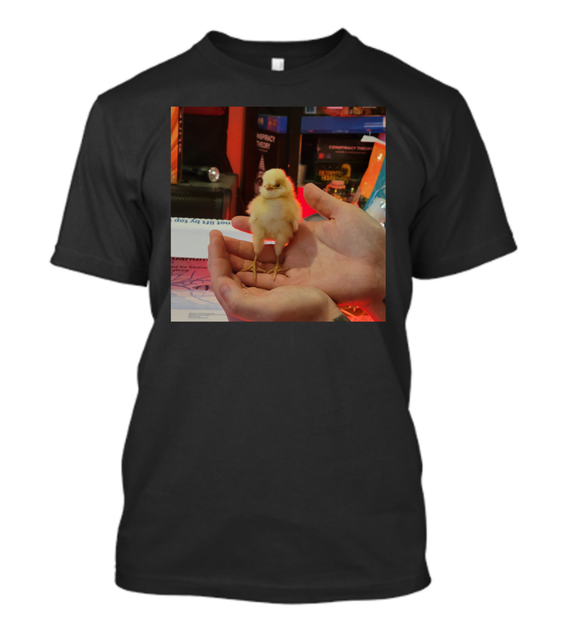 Lukewearechange Tallboi Conspiracy Theory Chick T-Shirt