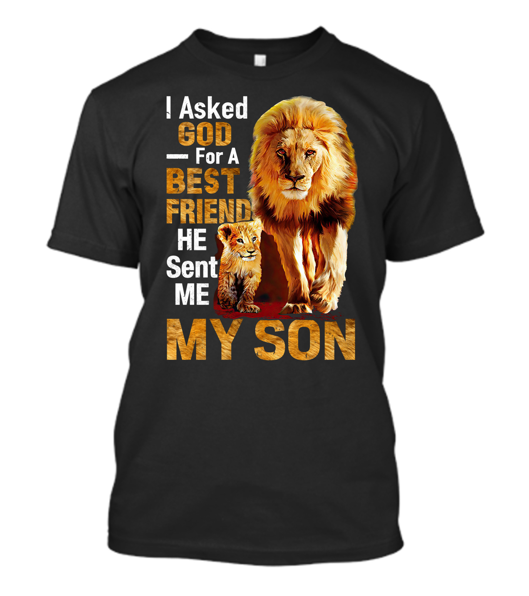 I Asked God For A Best Friend He Sent Me My Son Lion And Cub T-Shirt