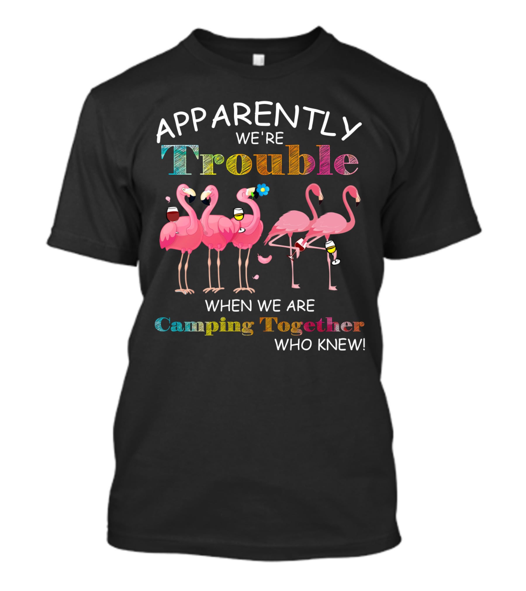 Apparently We're Trouble When We Are Camping Together With Flamingos Who Knew T-Shirt