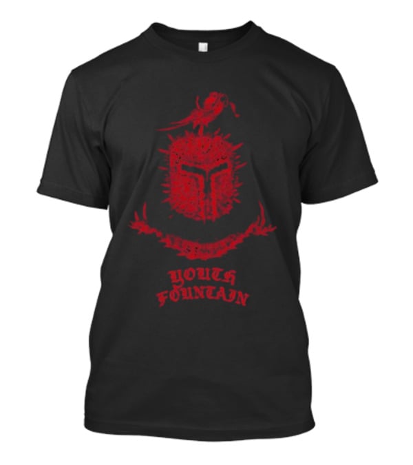 Youth Fountain Medieval Style Helmet With Sword And Bird T-Shirt