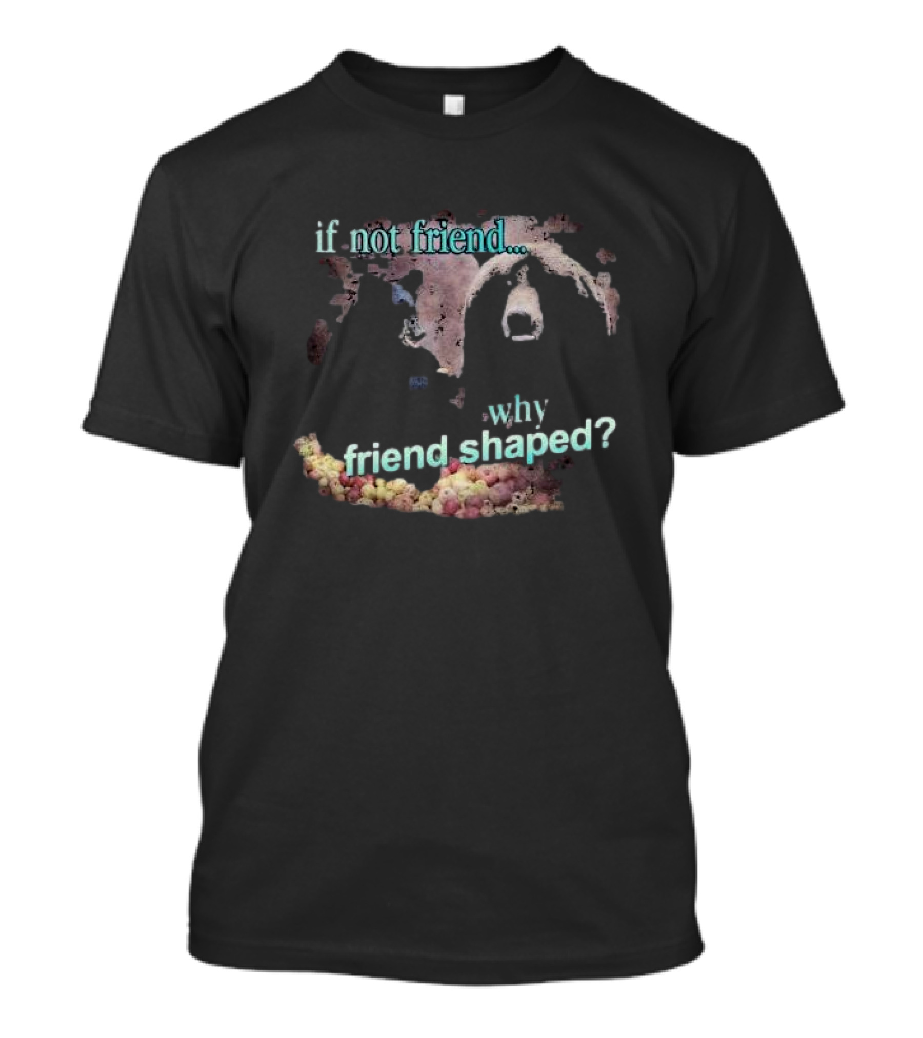 If Not Friend Why Friend Shaped Bear T-Shirt