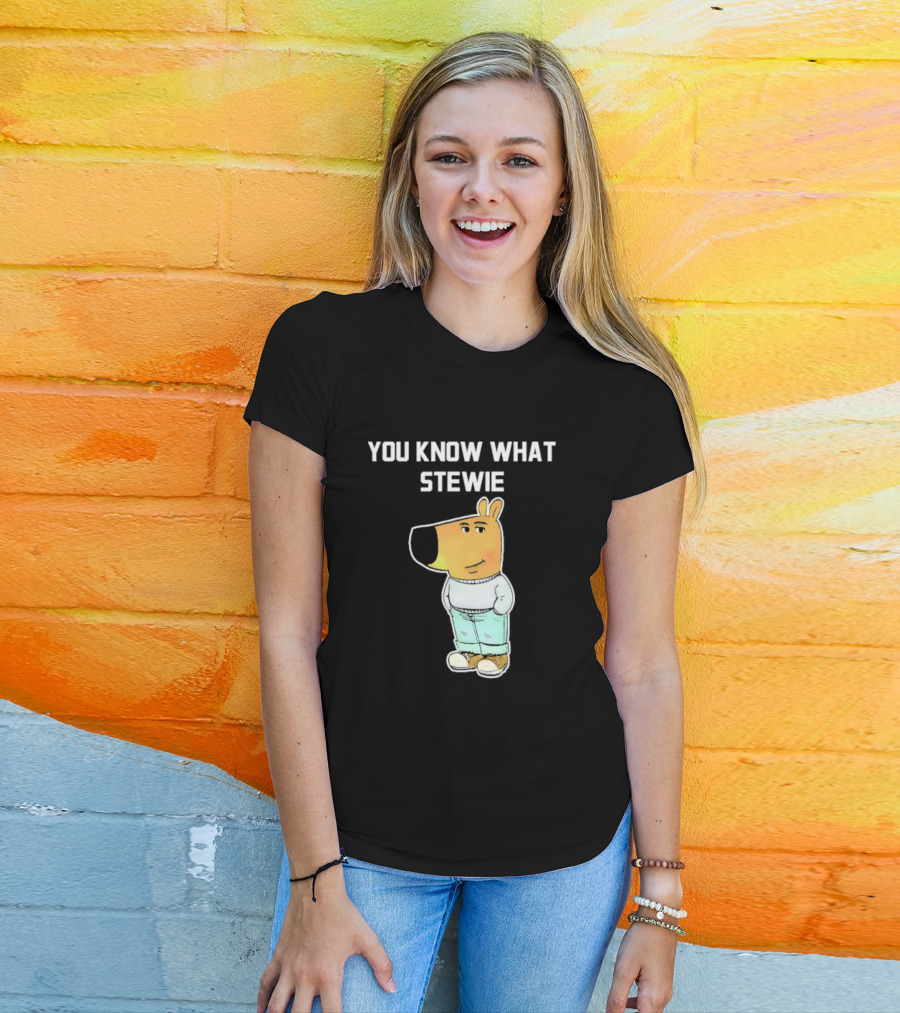 You Know What Stewie Chill Guy Sweater Cartoon T-Shirt