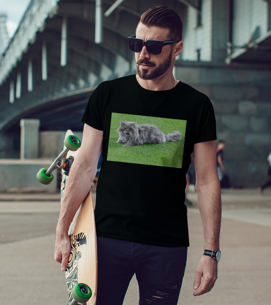Cat Stops Play At Los Angeles Dodgers Stadium Event T-Shirt