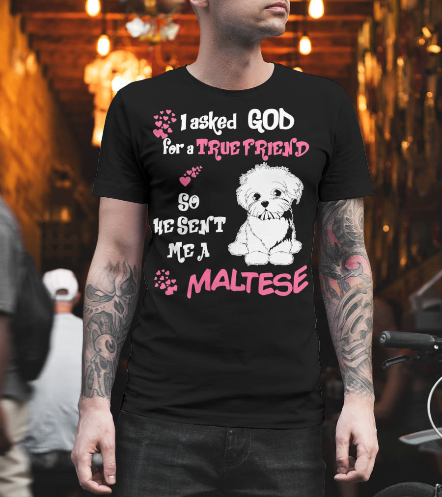 I Asked God For A True Friend So He Sent Me A Maltese T-Shirt
