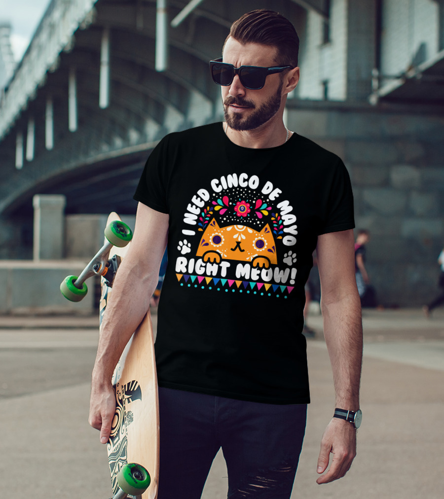 I Need Cinco De Mayo Right Meow Orange Cat Mexican Fiesta T-Shirt