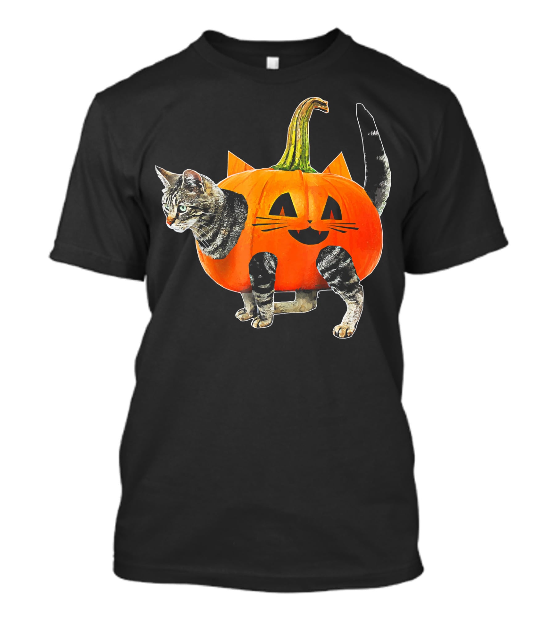 Funny Halloween Jack O Lantern Pumpkin Cat Costume T-Shirt