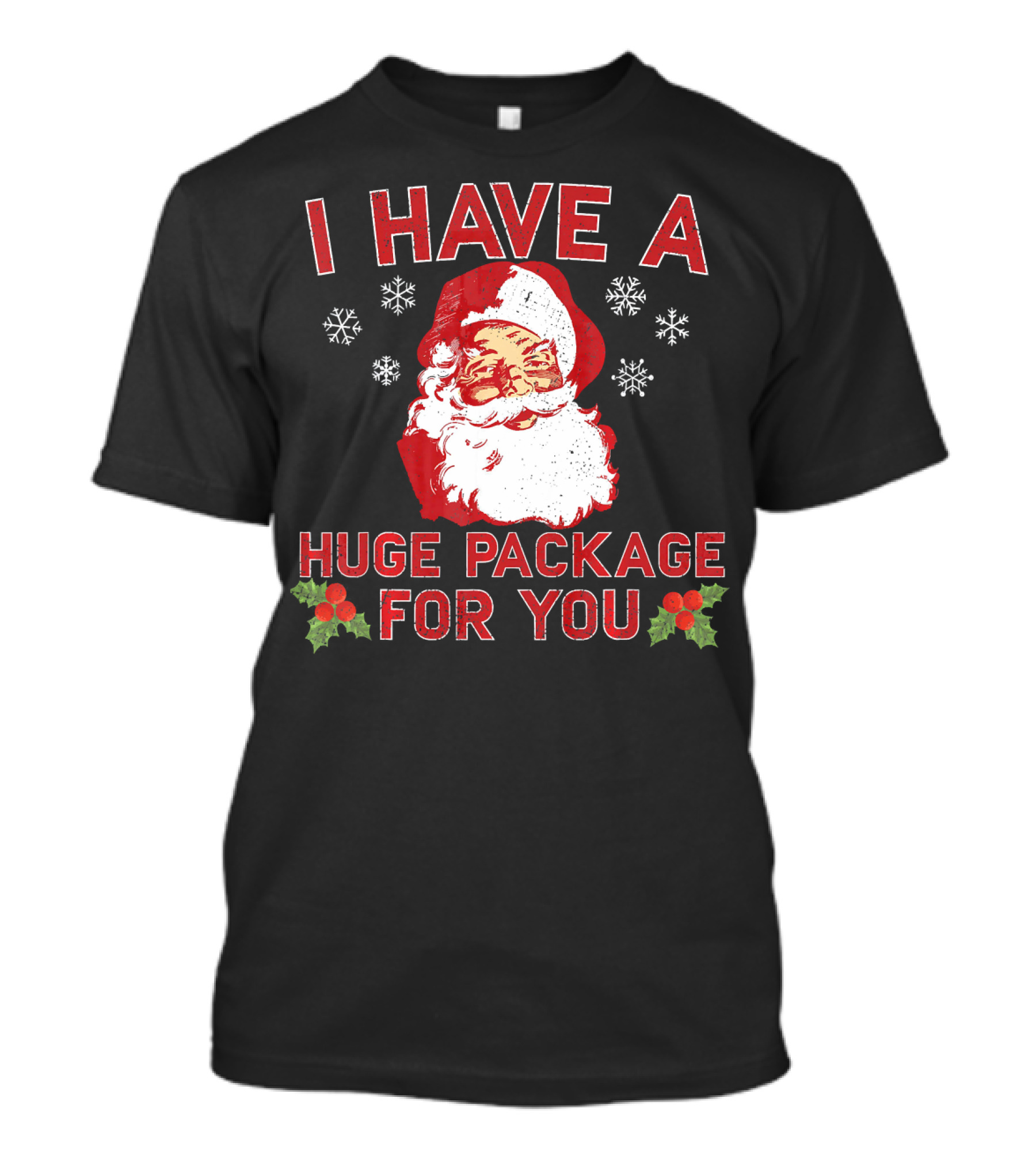 I Have A Huge Package For You Santa Christmas Snowflakes T-Shirt