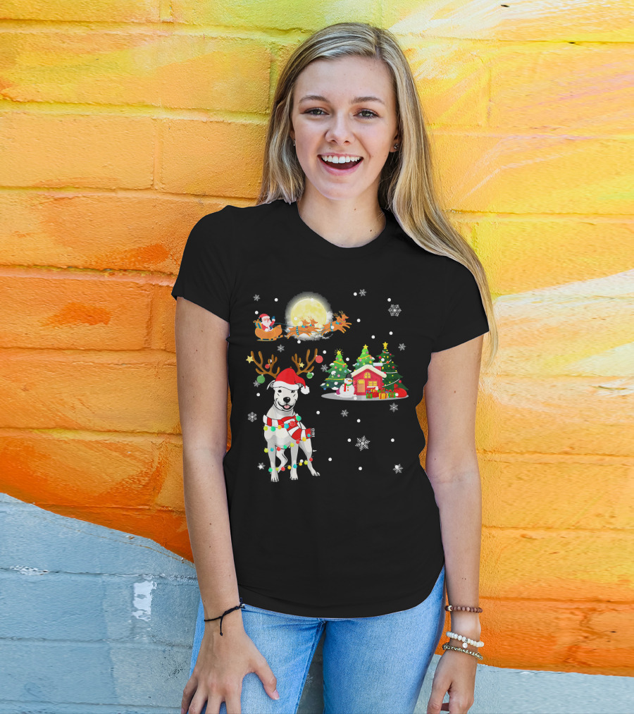 Santa's Sleigh And Festive Dogo Argentino Christmas Wonderland T-Shirt