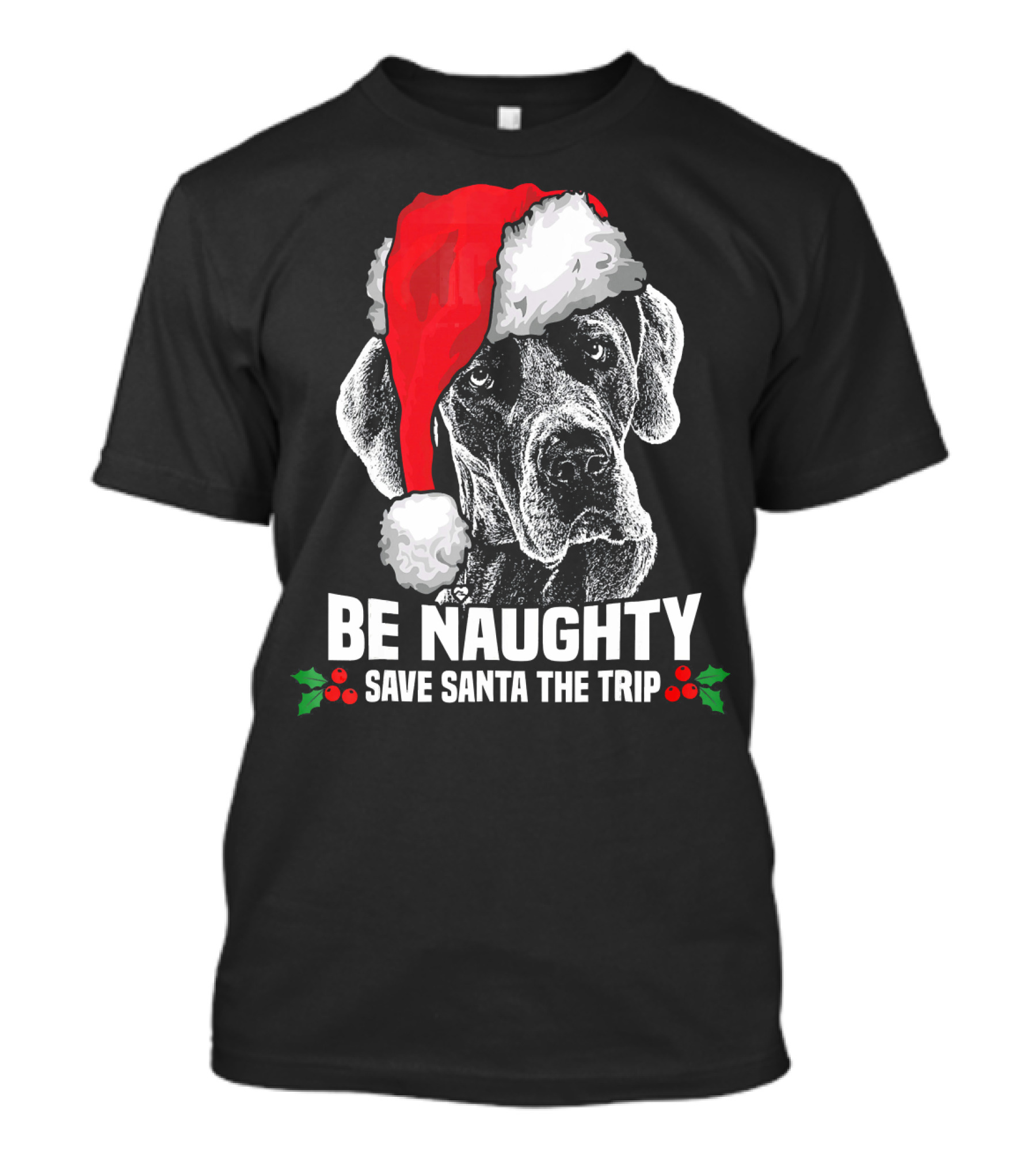 Be Naughty Save Santa The Trip Great Dane Santa Hat T-Shirt