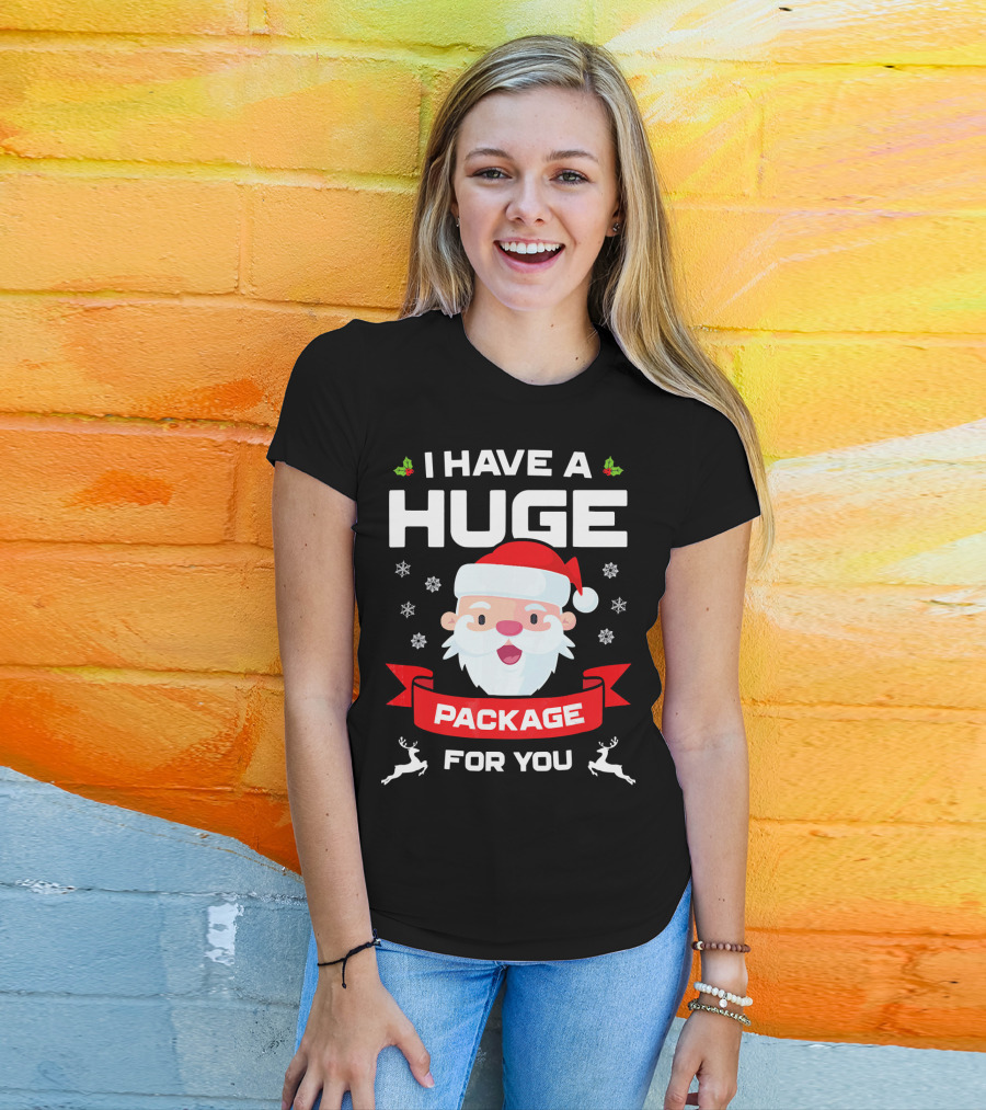 I Have A Huge Package For You Santa Snowflakes Reindeer Christmas T-Shirt