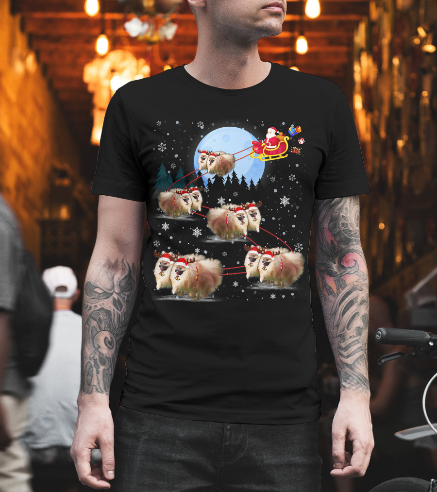 Pomeranian Reindeer Santa Sleigh Christmas Under Moonlight T-Shirt