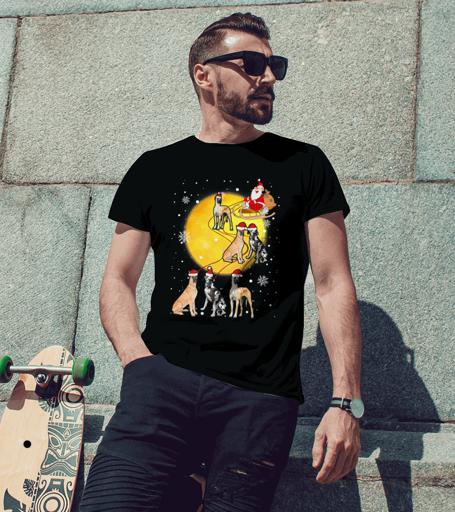 Santa Claus Sleigh Great Dane Reindeer Pack Moon Snowflakes T-Shirt