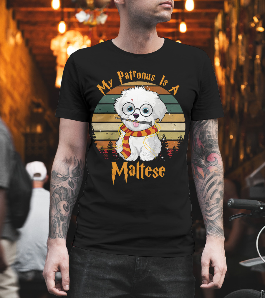 My Patronus Is A Maltese Dog with Wizard Glasses and Scarf in Colorful Circle T-Shirt