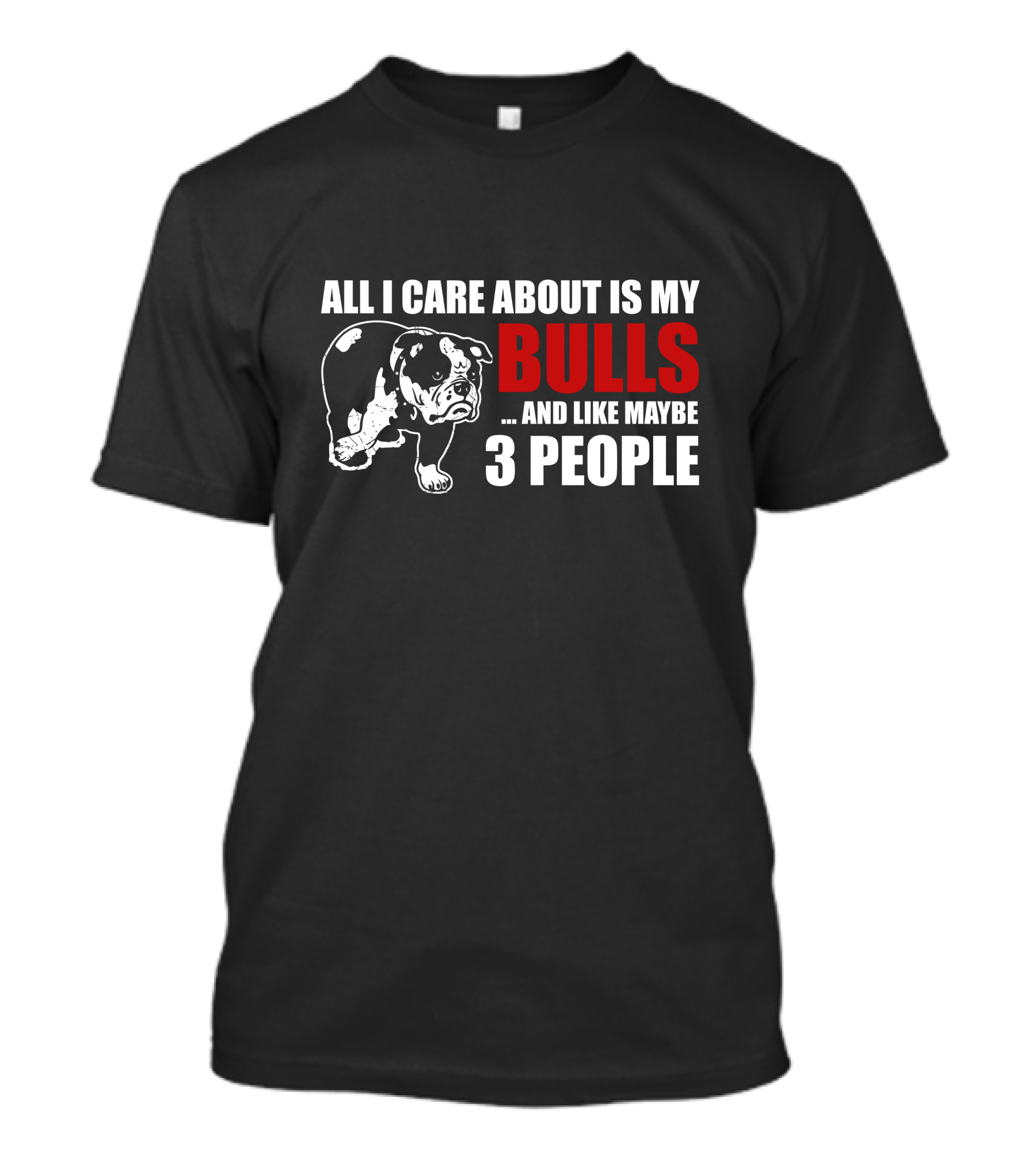 ALL I CARE ABOUT IS MY BULLS . AND LIKE MAYBE 3 PEOPLE T-Shirt